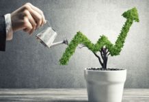 Applying Growth Strategies to Your Business