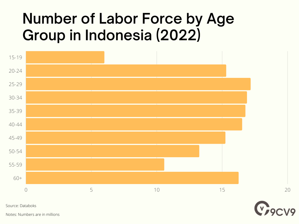 Number of Labor Force by Age Group in Indonesia (2022)