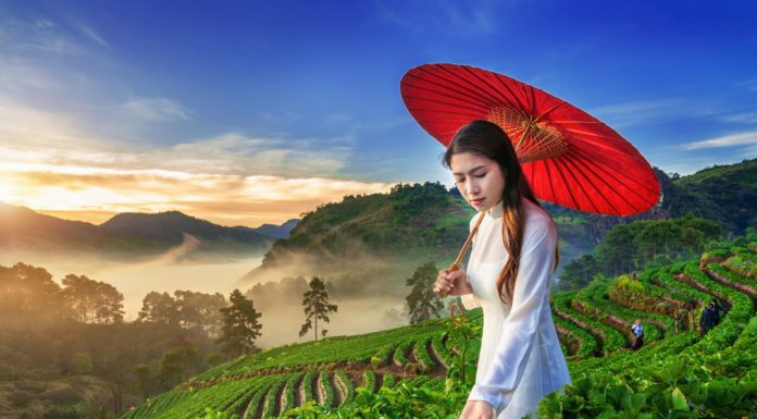 The State of Recruitment and Hiring in Vietnam in 2025 Vietnam