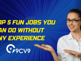 Top 5 Fun jobs you can do without any experience