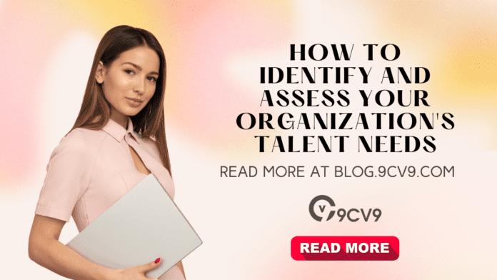 How to Identify and Assess Your Organization's Talent Needs