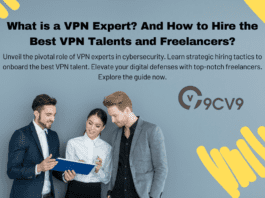 What is a VPN Expert? And How to Hire the Best VPN Talents and Freelancers?
