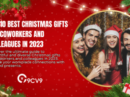 Top 10 Best Christmas Gifts for Coworkers and Colleagues in 2023