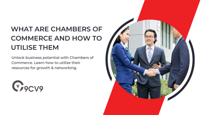 What are Chambers of Commerce and How To Utilise Them