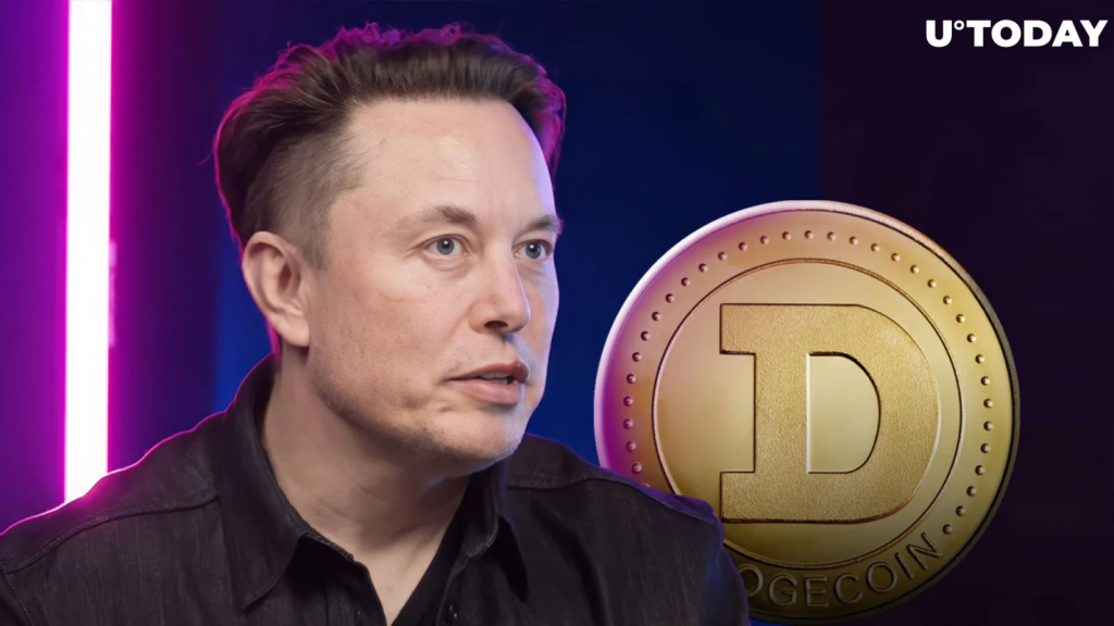 Elon Musk Support for Dogecoin