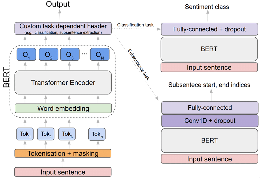 The BERT (Bidirectional Encoder Representations from Transformers) model