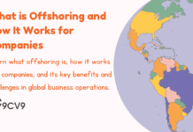 What is Offshoring and How It Works for Companies What is Offshoring and How It Works for Companies