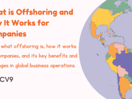 What is Offshoring and How It Works for Companies