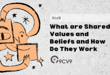 What are Shared Values and Beliefs and How Do They Work What are Shared Values and Beliefs and How Do They Work