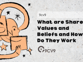 What are Shared Values and Beliefs and How Do They Work