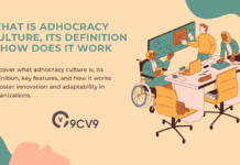 What is Adhocracy Culture, Its Definition & How Does It Work What is Adhocracy Culture, Its Definition & How Does It Work