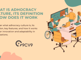 What is Adhocracy Culture, Its Definition & How Does It Work