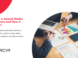 What is Animal Shelter Software and How It Works