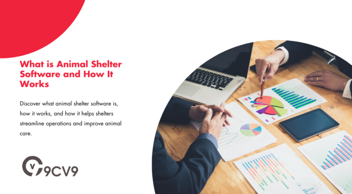 What is Animal Shelter Software and How It Works What is Animal Shelter Software and How It Works