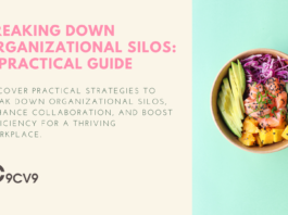 Breaking Down Organizational Silos: A Practical Guide