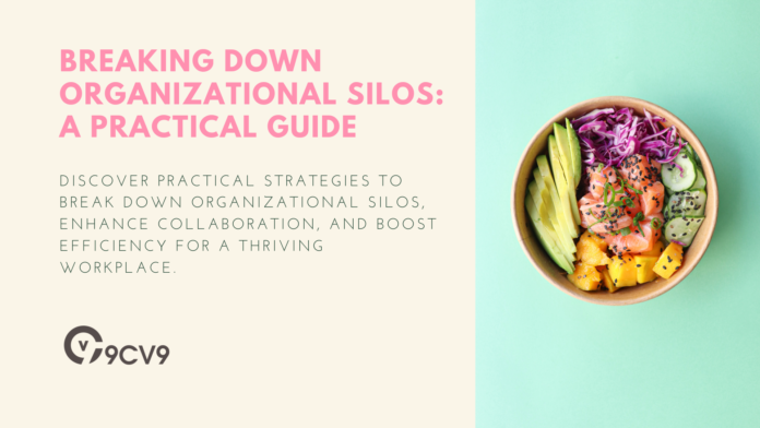 Breaking Down Organizational Silos: A Practical Guide