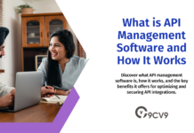 What is API Management Software and How It Works What is API Management Software and How It Works