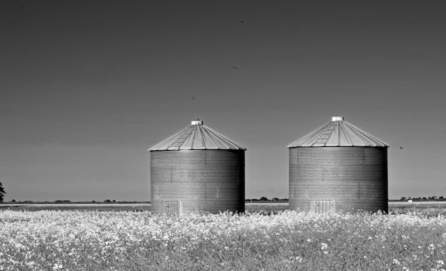 Understanding Organizational Silos and Their Impact