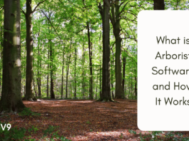 What is Arborist Software and How It Works