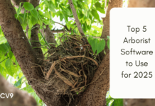 Top 5 Arborist Software to Use for 2025 Top 5 Arborist Software to Use for 2025