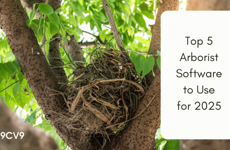 Top 5 Arborist Software to Use for 2025