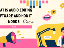 What is Audio Editing Software and How It Works