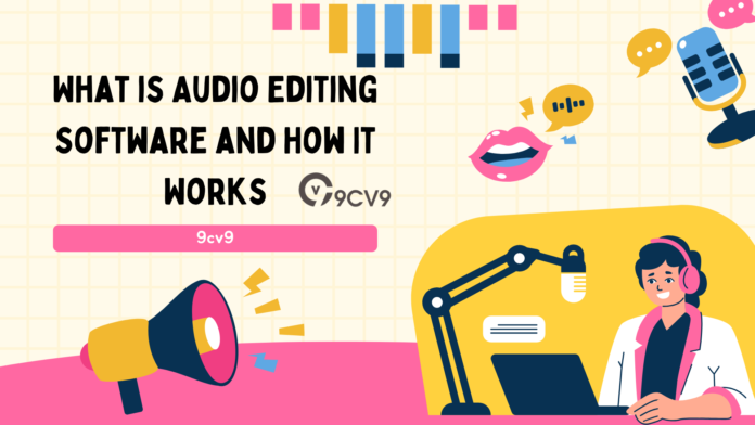 What is Audio Editing Software and How It Works