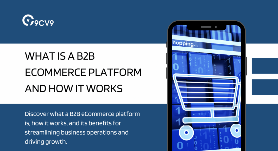 What is a B2B eCommerce Platform and How It Works