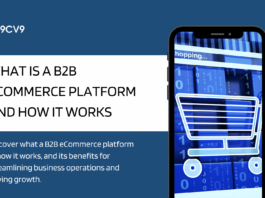 What is a B2B eCommerce Platform and How It Works