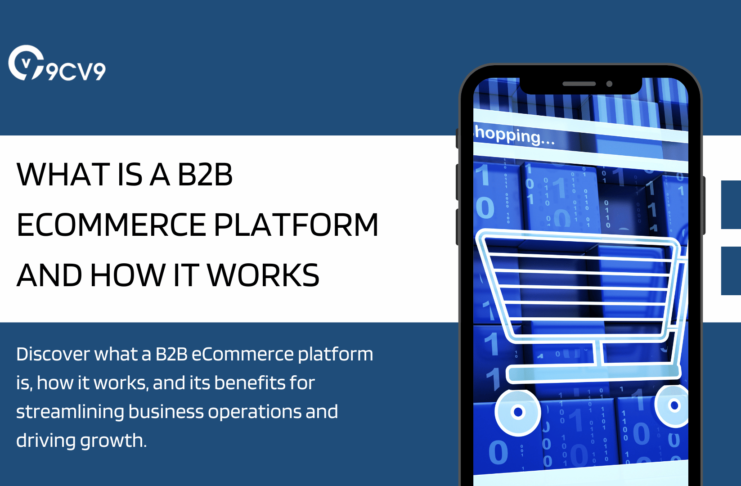 What is a B2B eCommerce Platform and How It Works