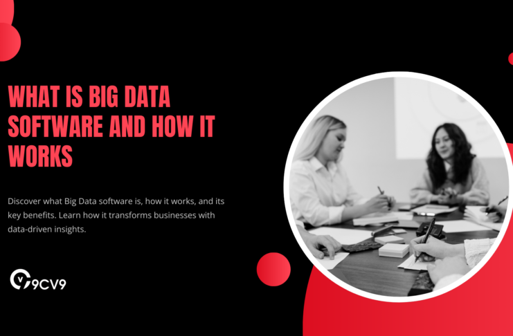 What is Big Data Software and How It Works