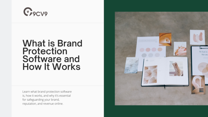 What is Brand Protection Software and How It Works