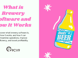 What is Brewery Software and How It Works