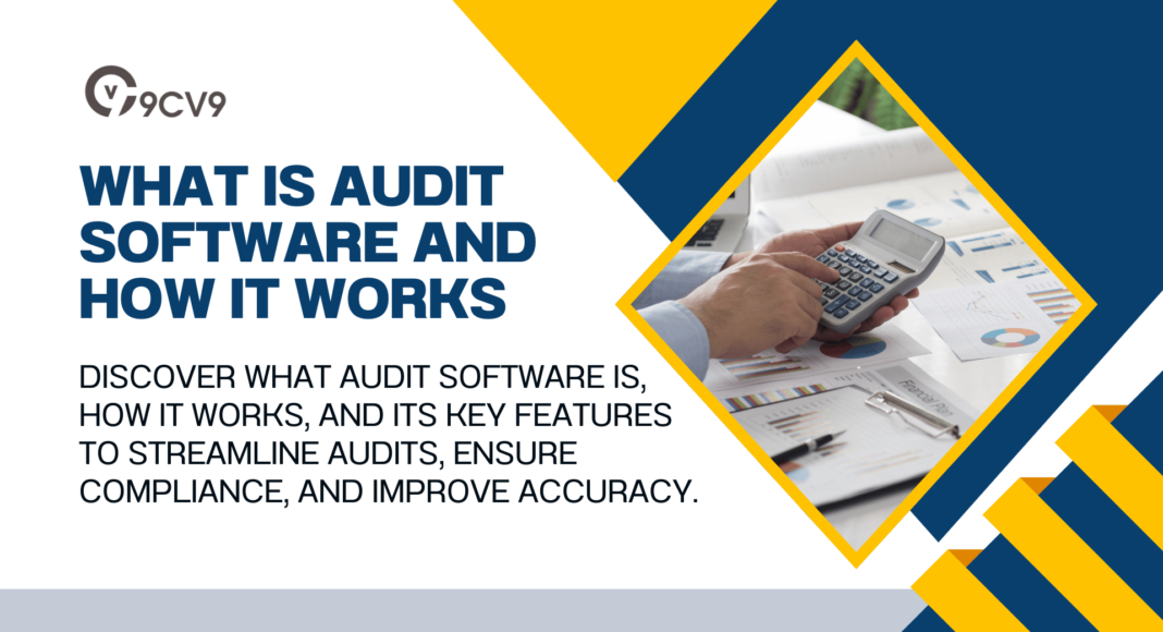 What is Audit Software and How It Works