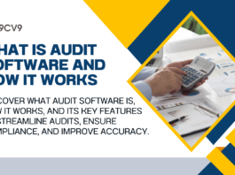 What is Audit Software and How It Works