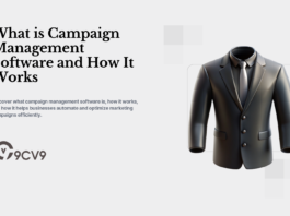 What is Campaign Management Software and How It Works