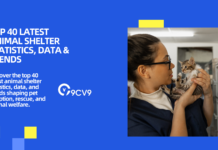 Top 40 Latest Animal Shelter Statistics, Data & Trends Top 40 Latest Animal Shelter Statistics, Data & Trends