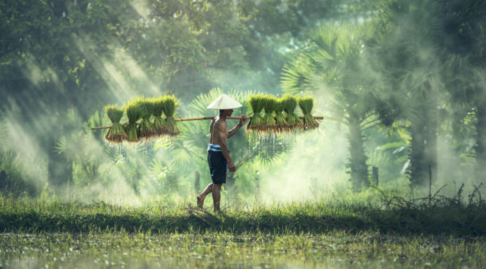 The State of Recruitment and Hiring in Southeast Asia in 2025 The State of Recruitment and Hiring in Southeast Asia in 2025