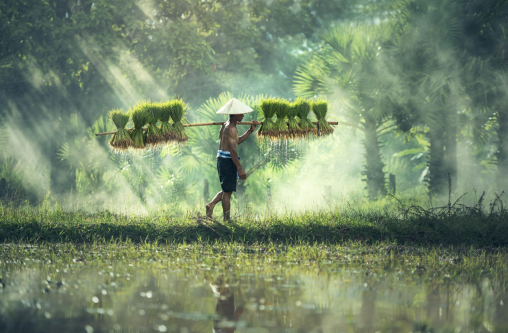 The State of Recruitment and Hiring in Southeast Asia in 2025