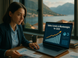 Salary Levels in Montenegro for 2025: An In-depth Analysis Across Jobs and Industries