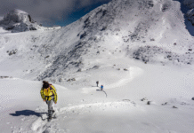 The State of Hiring and Recruitment in Bulgaria for 2025: A Data-Driven Analysis The State of Hiring and Recruitment in Bulgaria for 2025: A Data-Driven Analysis