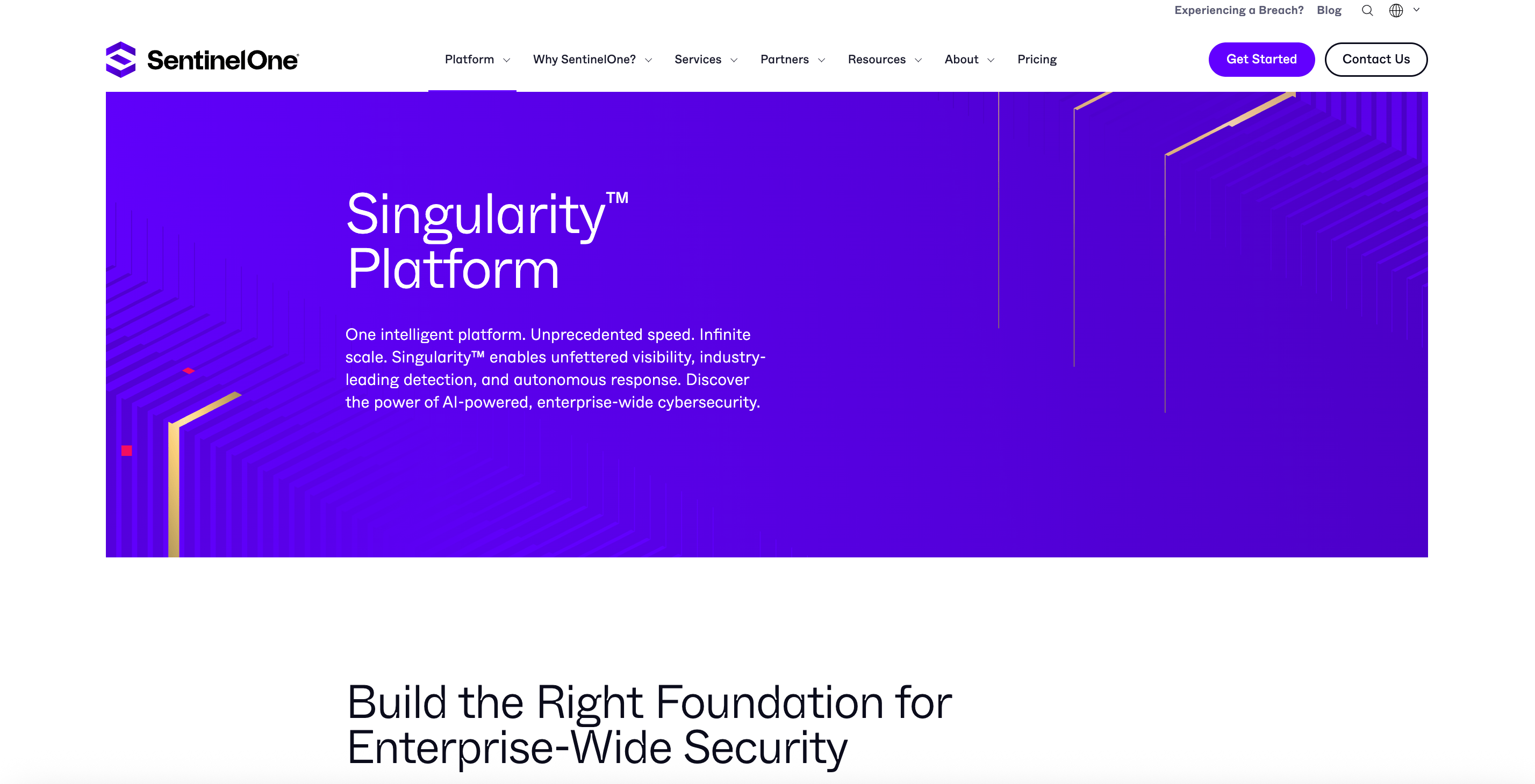 SentinelOne Singularity Platform