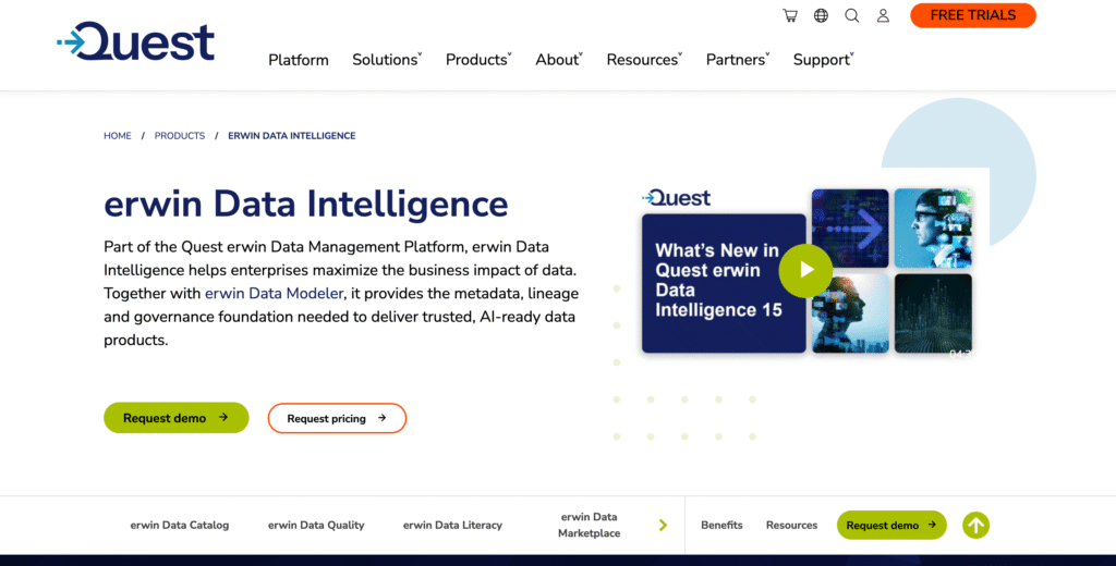 erwin Data Intelligence
