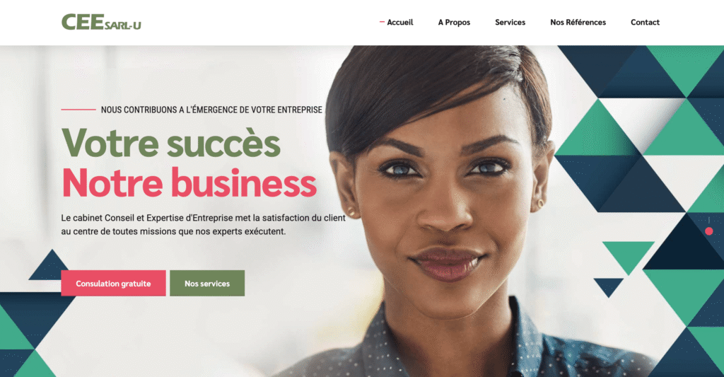 CEE (Conseil et Expertise d’Entreprise)