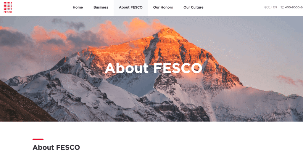 FESCO Group (Foreign Enterprise Service Corporation)