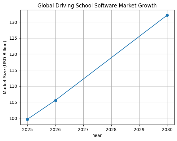 Global Driving School Software Market Growth